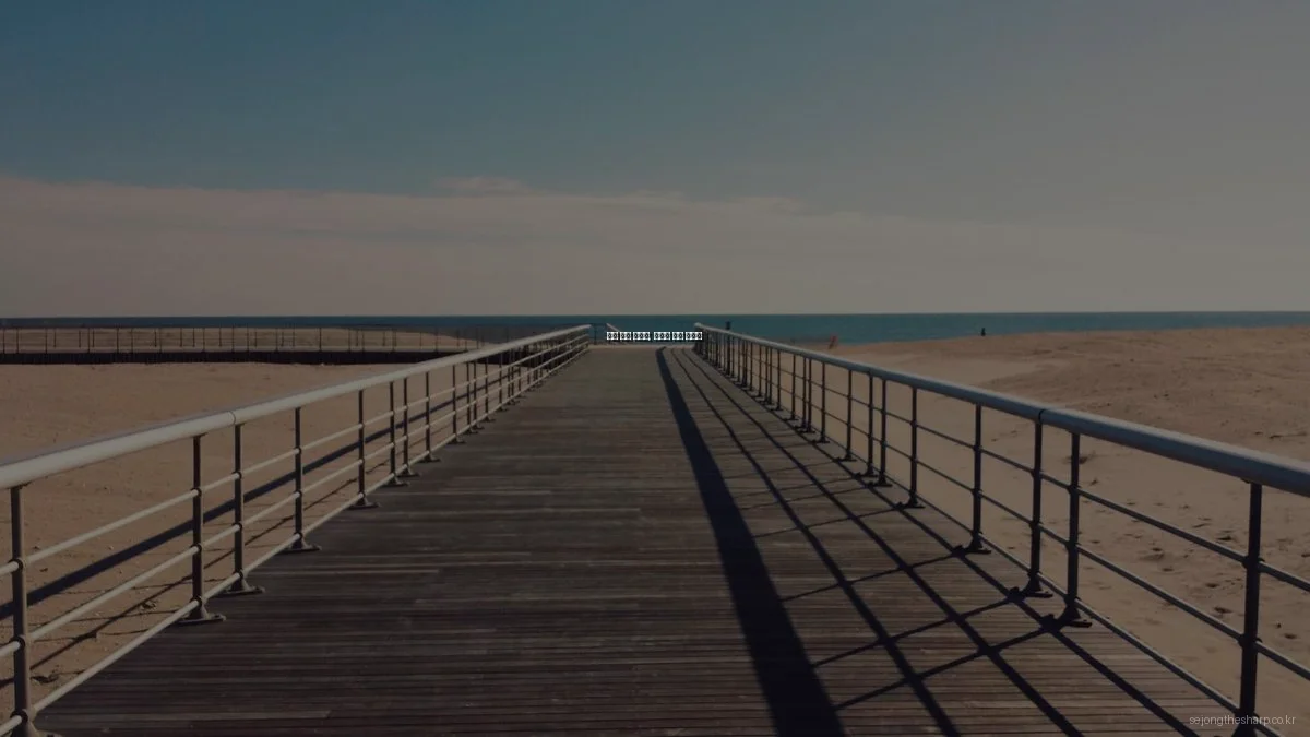 세종 더샵 아파트, 예산별 추천 가이드