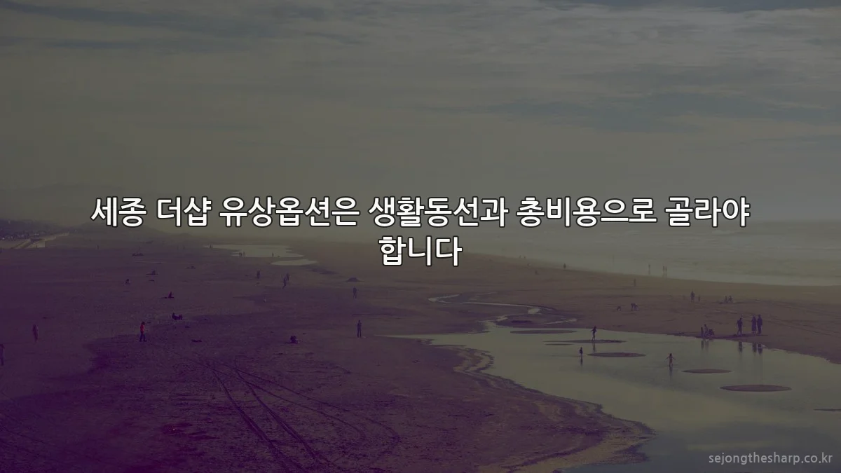 세종 더샵 유상옵션은 생활동선과 총비용으로 골라야 합니다