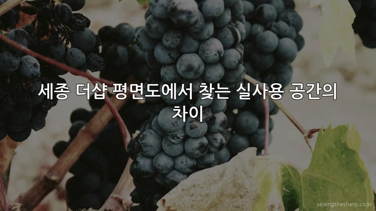 세종 더샵 평면도에서 찾는 실사용 공간의 차이