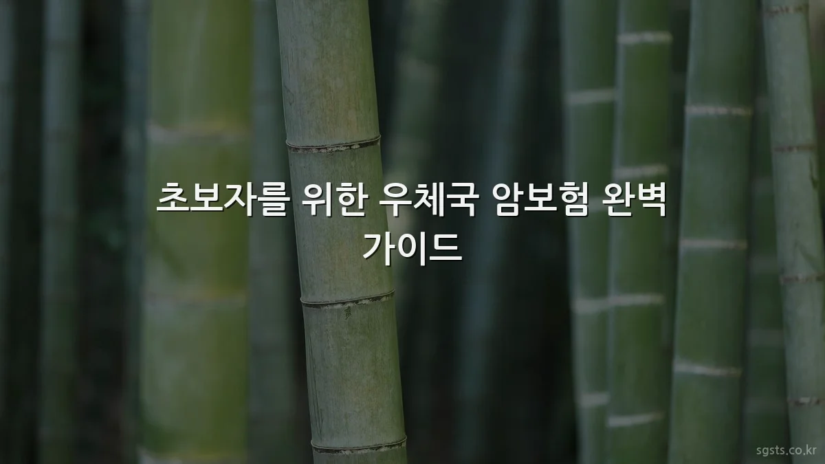 초보자를 위한 우체국 암보험 완벽 가이드