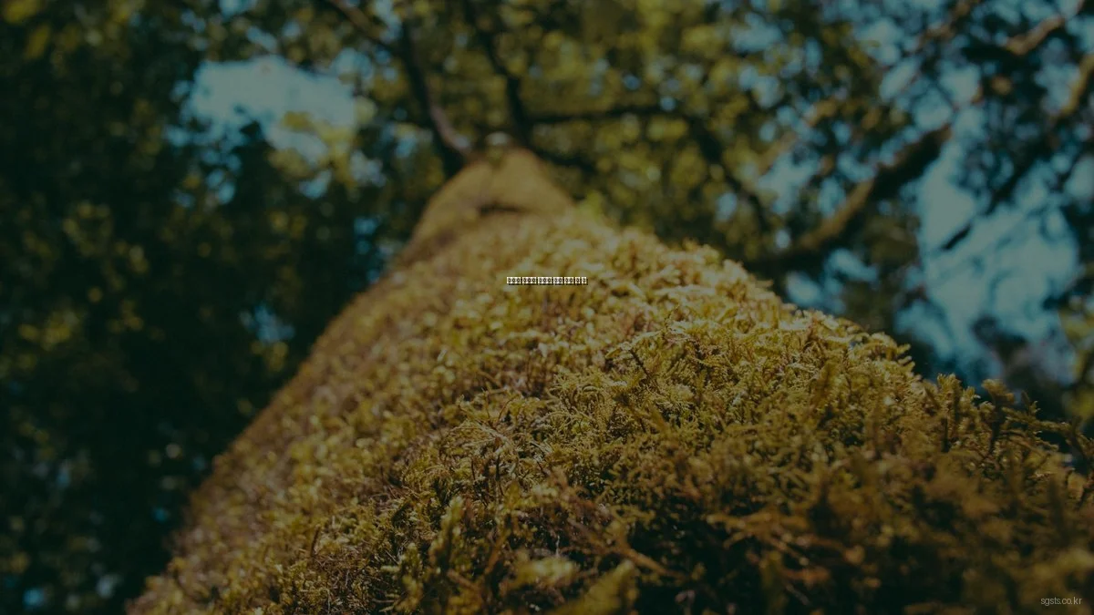 봄맞이 우체국 암보험 가입 전략 및 팁