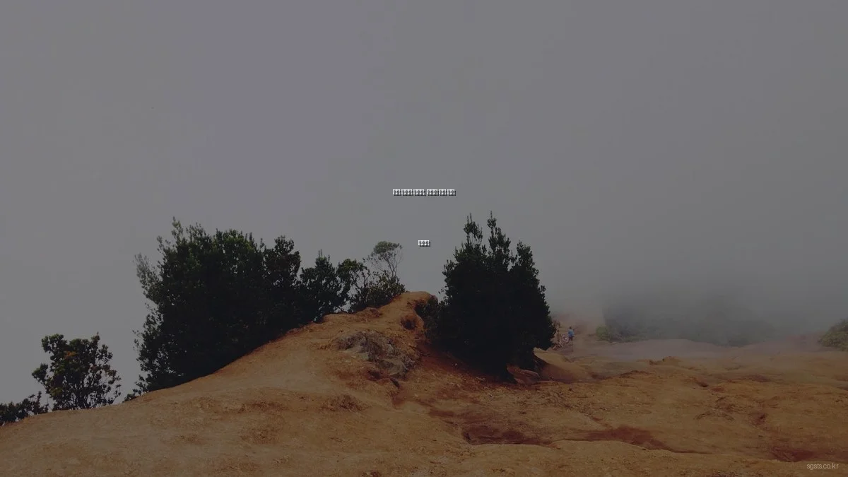 봄철 우체국 암보험, 놓치기 쉬운 혜택 활용법