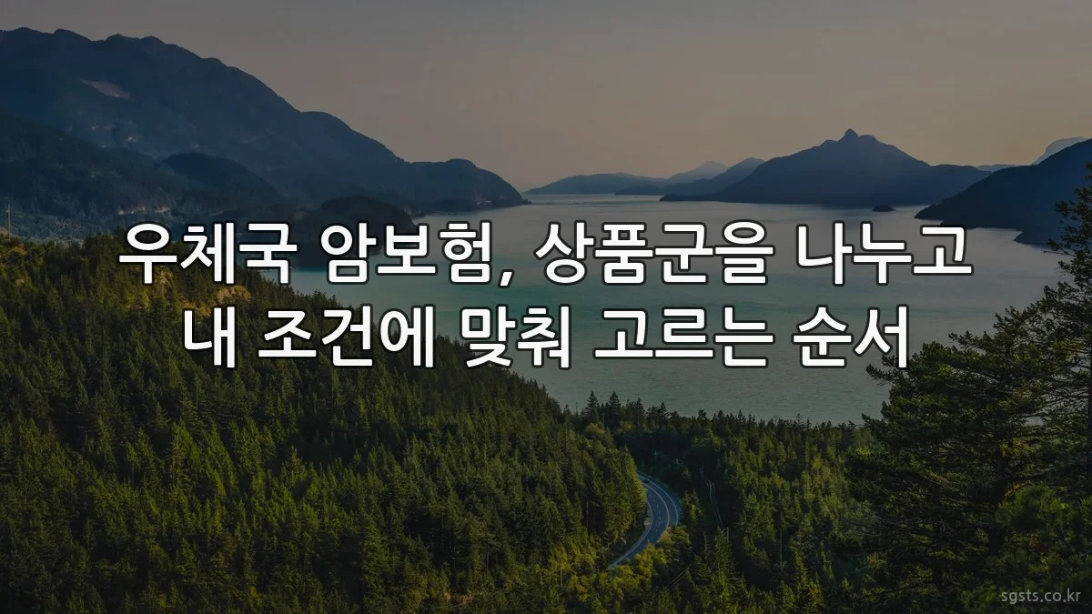 우체국 암보험, 상품군을 나누고 내 조건에 맞춰 고르는 순서