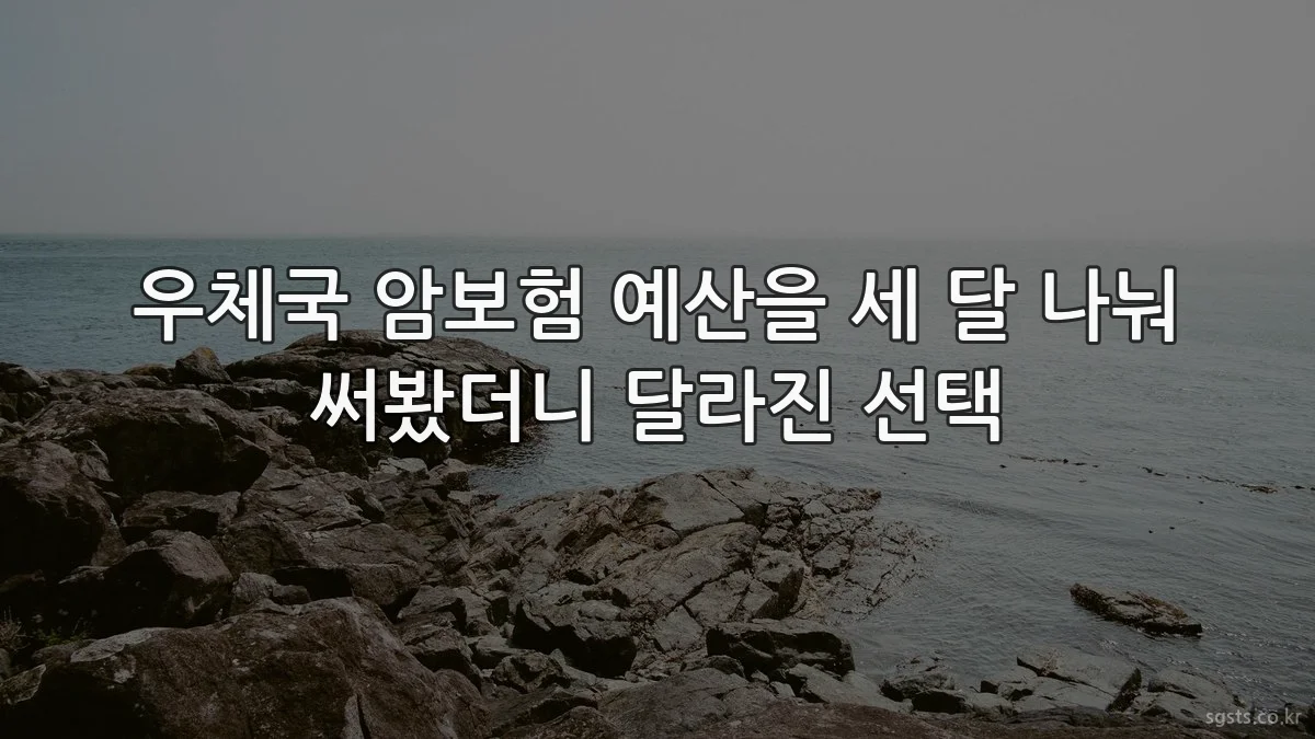 우체국 암보험 예산을 세 달 나눠 써봤더니 달라진 선택