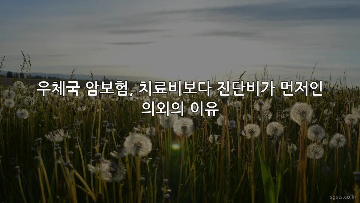 우체국 암보험, 치료비보다 진단비가 먼저인 의외의 이유
