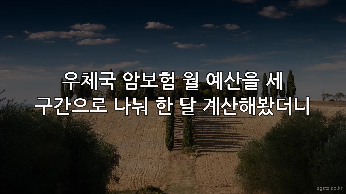 우체국 암보험 월 예산을 세 구간으로 나눠 한 달 계산해봤더니
