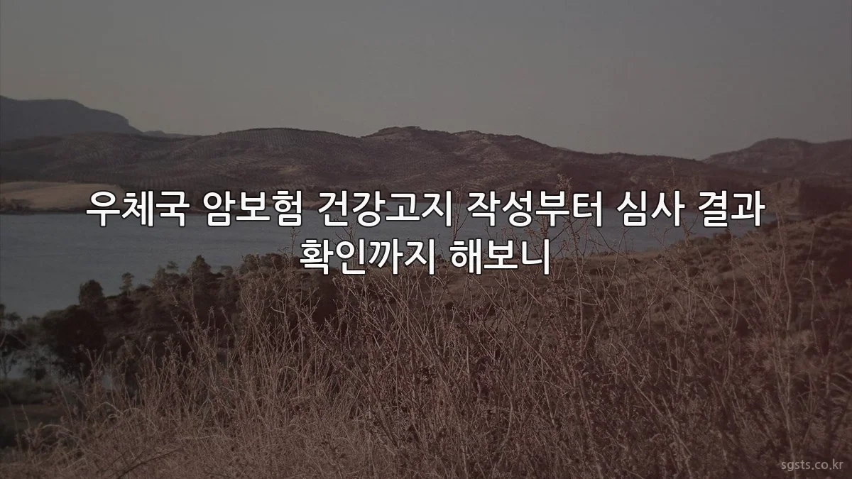 우체국 암보험 건강고지 작성부터 심사 결과 확인까지 해보니