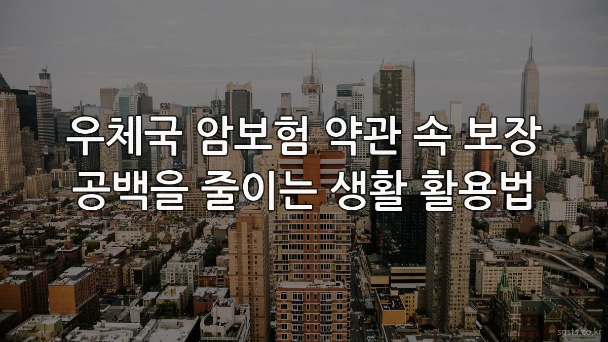 우체국 암보험 약관 속 보장 공백을 줄이는 생활 활용법
