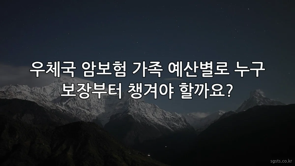 우체국 암보험 가족 예산별로 누구 보장부터 챙겨야 할까요?