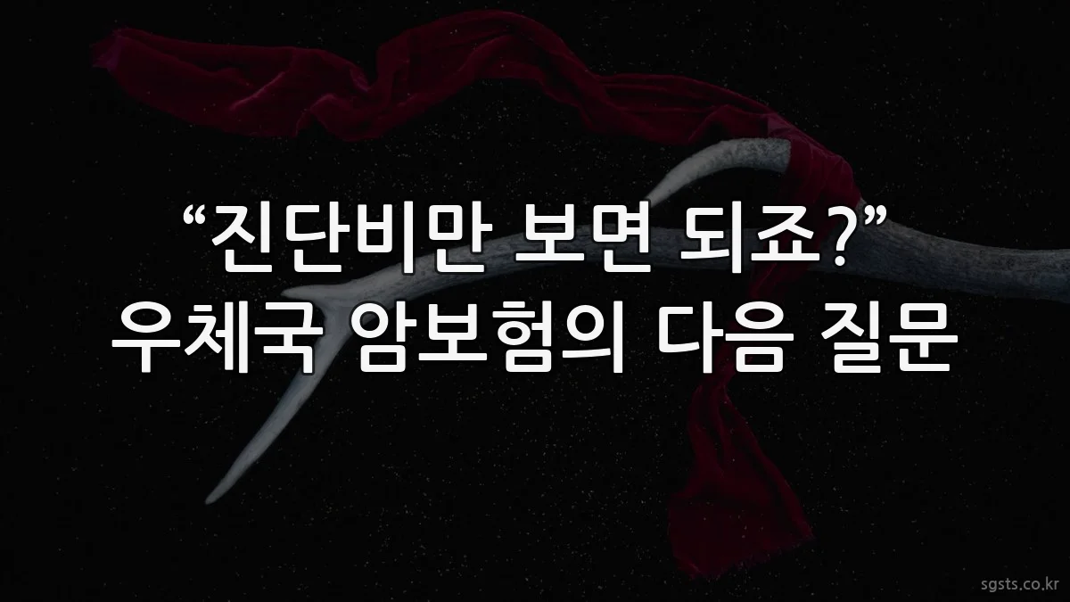 “진단비만 보면 되죠?” 우체국 암보험의 다음 질문