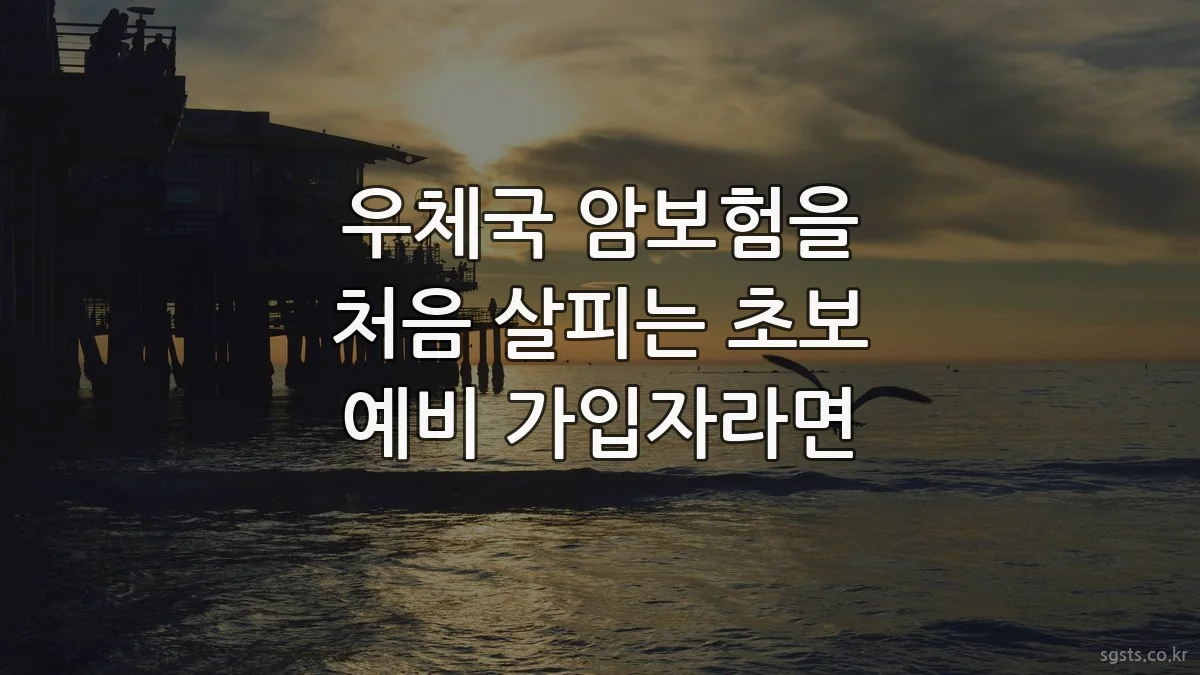 우체국 암보험을 처음 살피는 초보 예비 가입자라면
