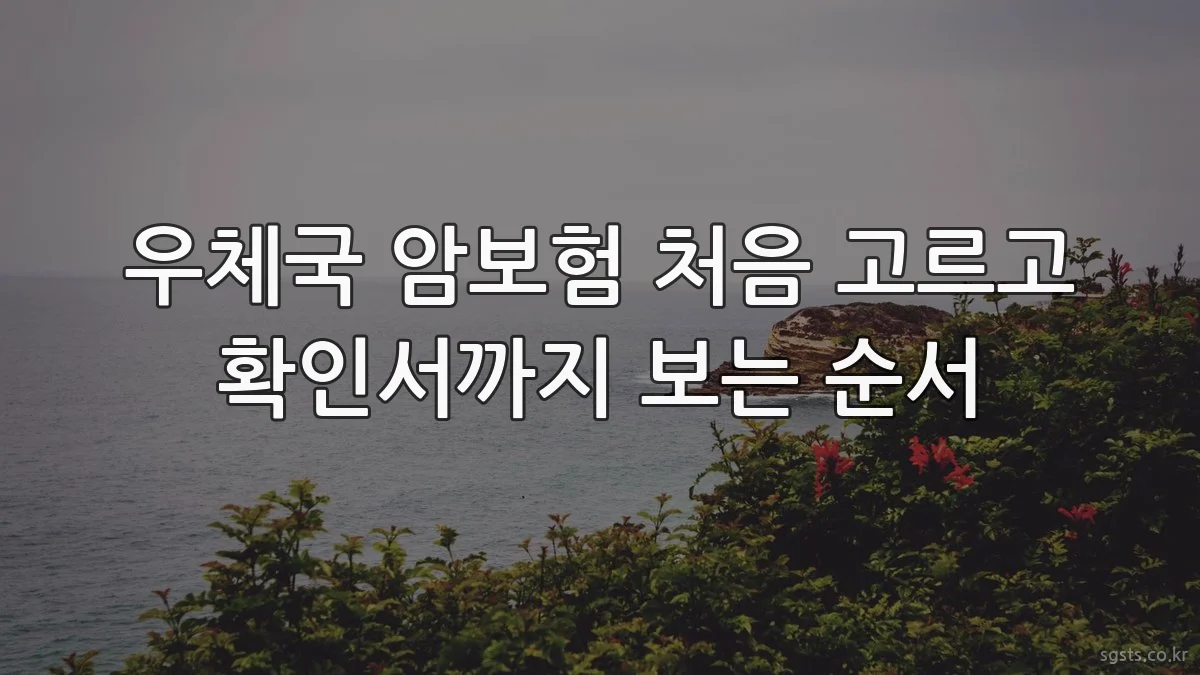 우체국 암보험 처음 고르고 확인서까지 보는 순서