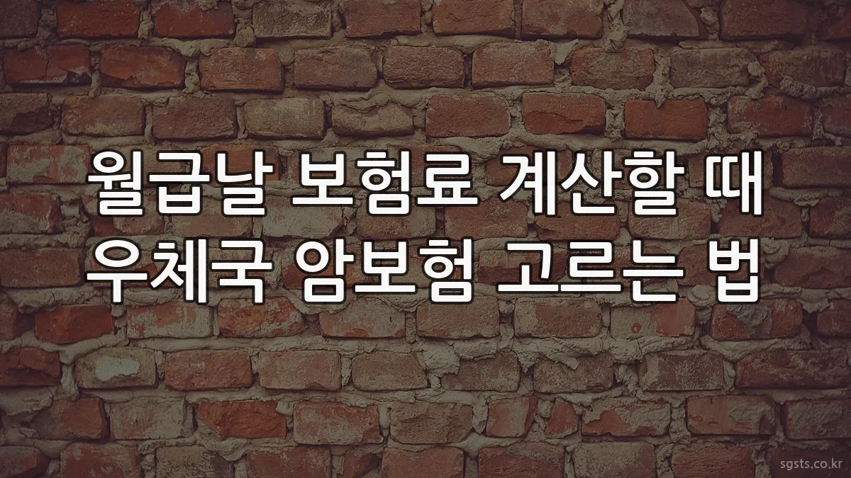 월급날 보험료 계산할 때 우체국 암보험 고르는 법
