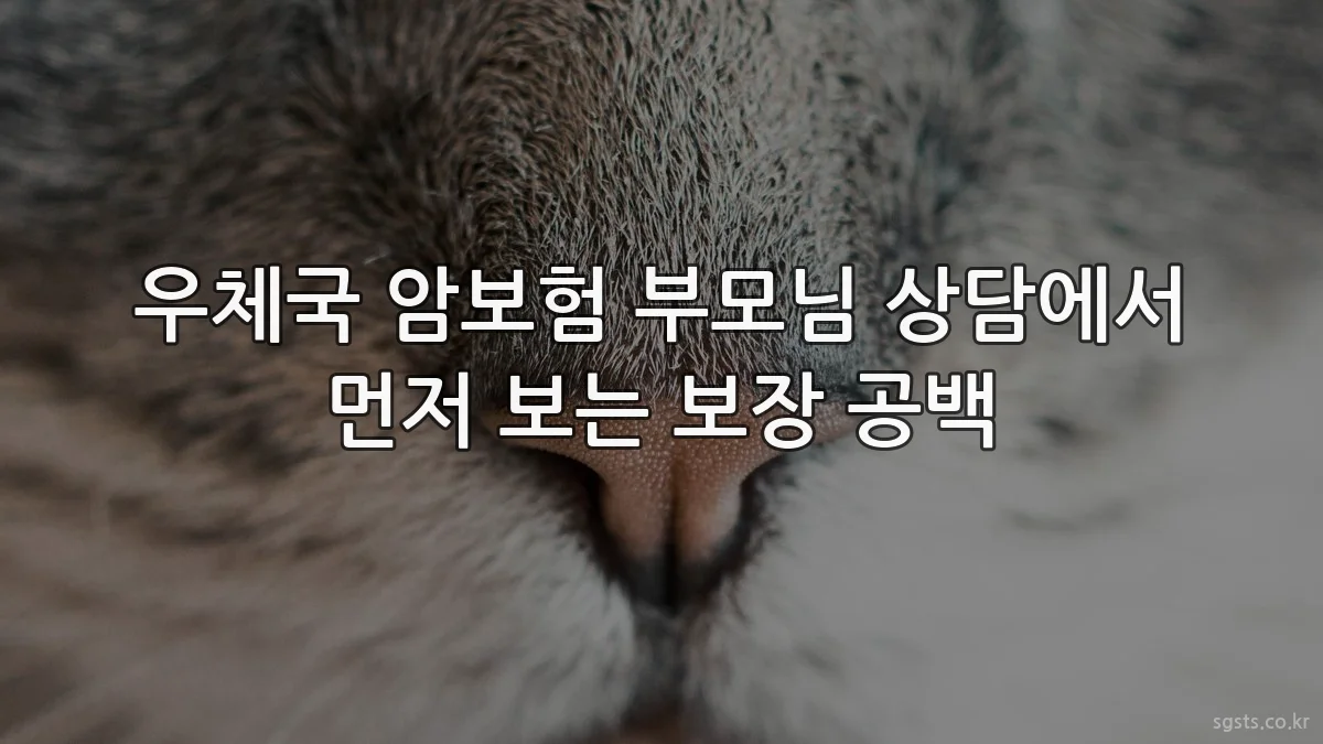 우체국 암보험 부모님 상담에서 먼저 보는 보장 공백