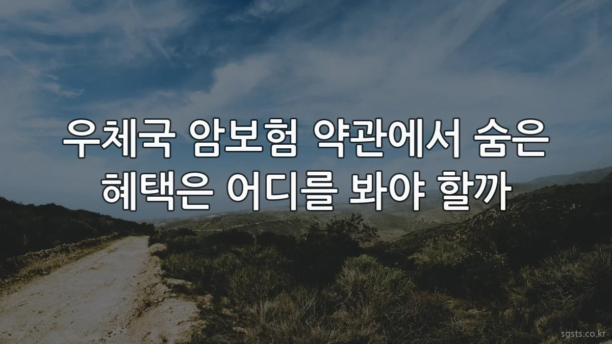 우체국 암보험 약관에서 숨은 혜택은 어디를 봐야 할까