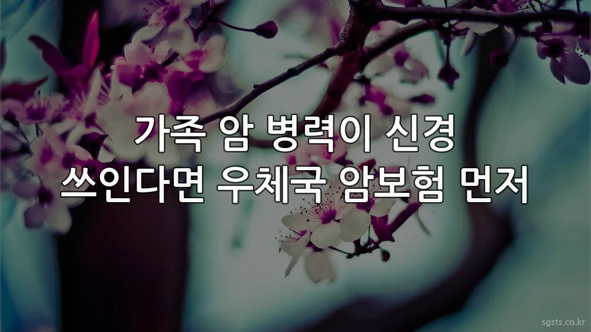 가족 암 병력이 신경 쓰인다면 우체국 암보험 먼저