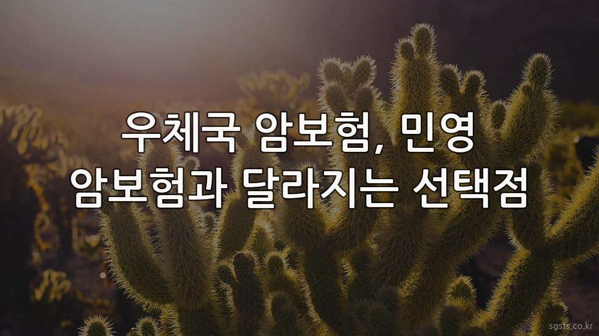 우체국 암보험, 민영 암보험과 달라지는 선택점