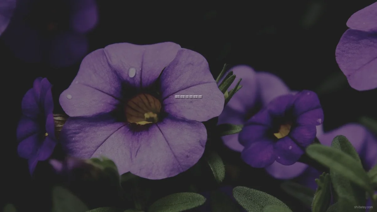 문화적 오해로 인한 실패 사례와 교훈