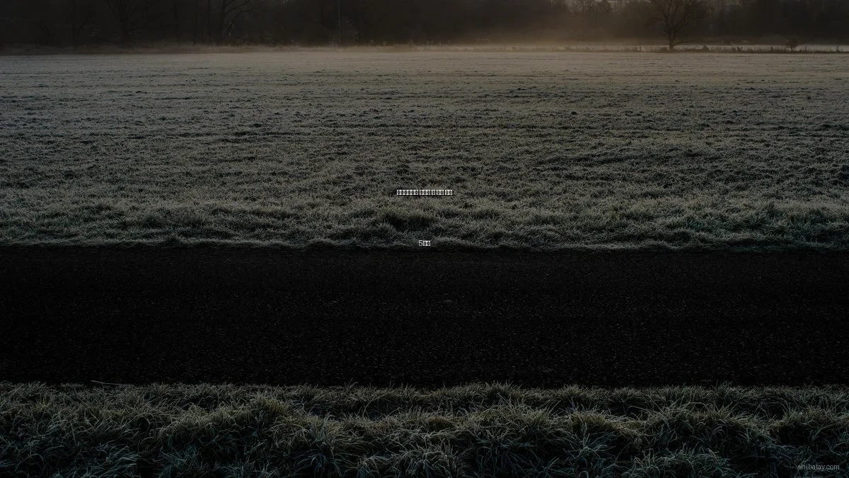 문화생활에서 피해야 할 흔한 실수 5가지
