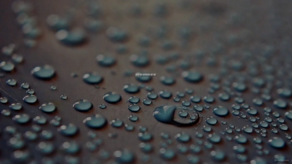 독특한 문화 라이프스타일 꿀팁 모음