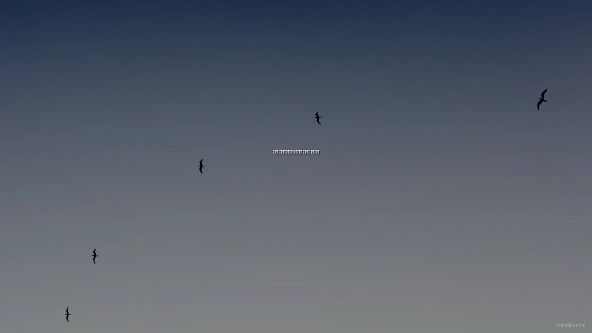 문화 라이프스타일 트렌드 실수와 해결법