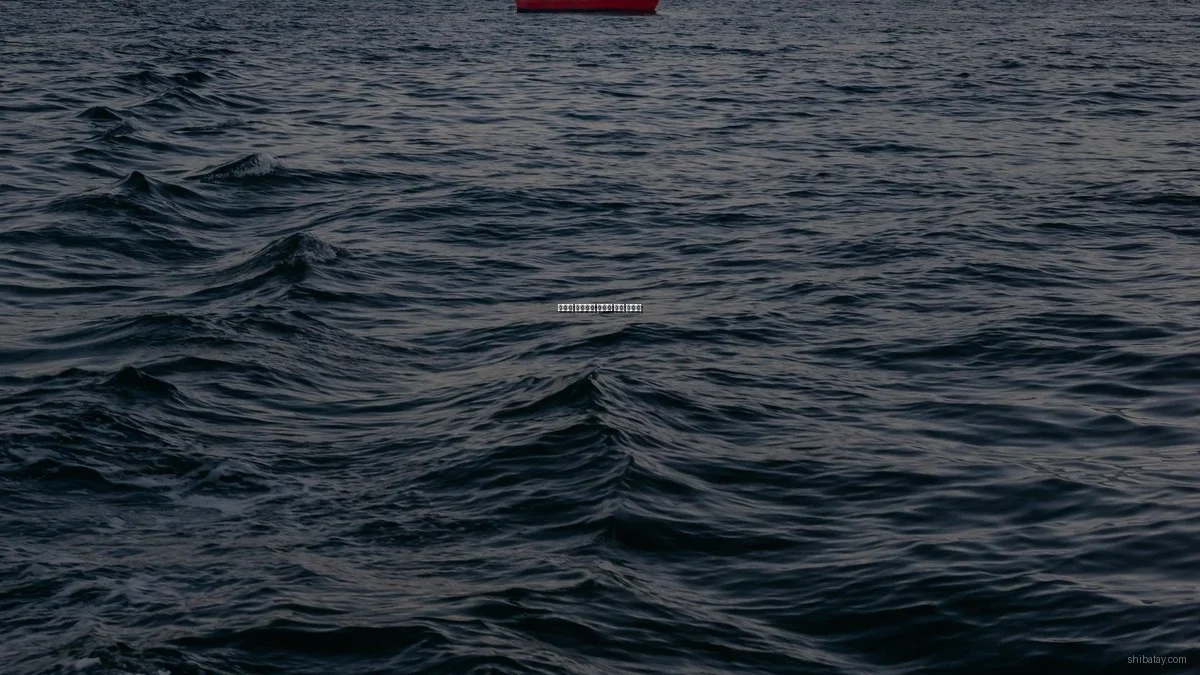 문화를 색다르게 즐기는 꿀팁 총정리