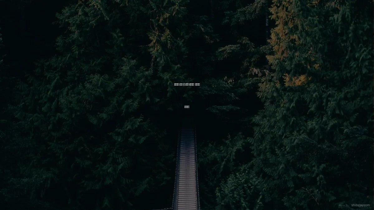 글로벌 문화 속 숨은 이야기: 전문가 인터뷰