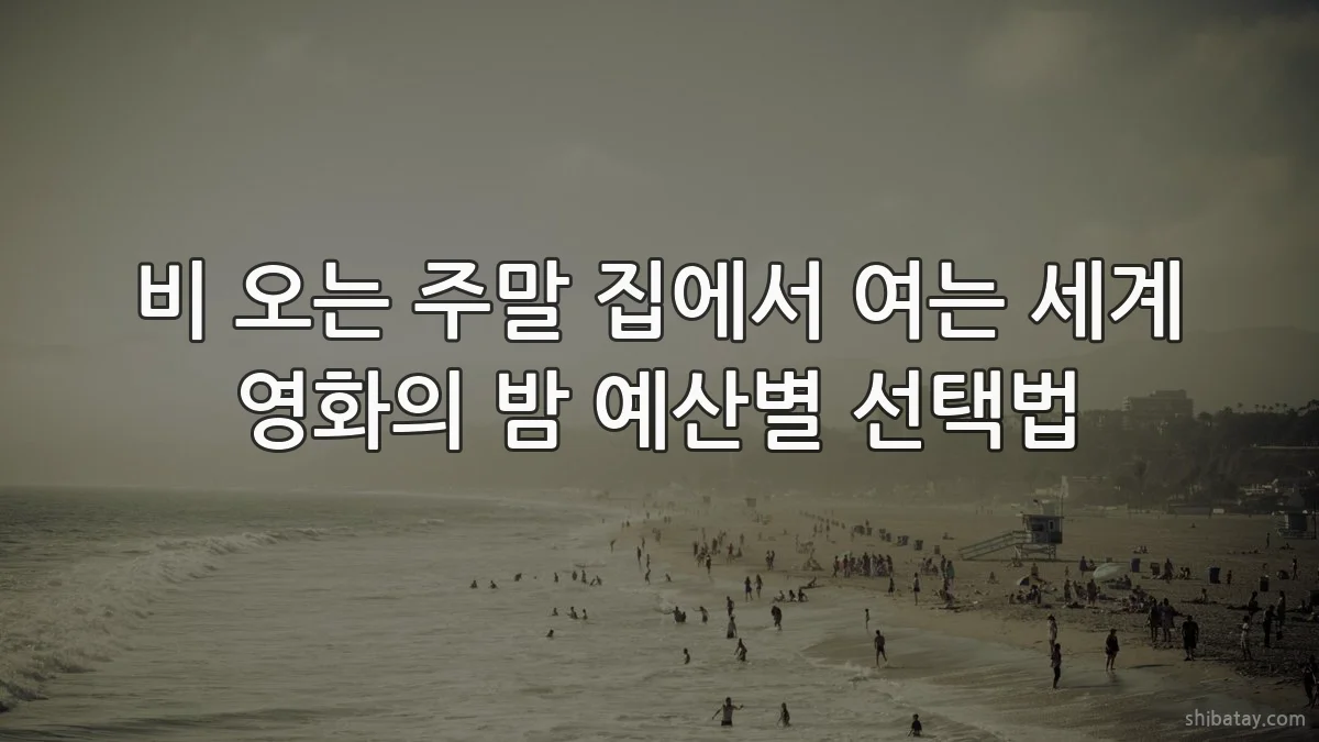 비 오는 주말 집에서 여는 세계 영화의 밤 예산별 선택법