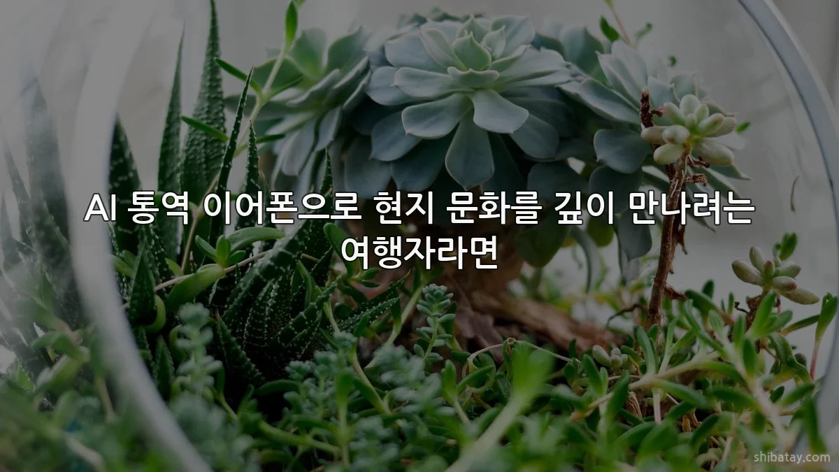 AI 통역 이어폰으로 현지 문화를 깊이 만나려는 여행자라면