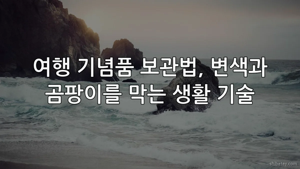 여행 기념품 보관법, 변색과 곰팡이를 막는 생활 기술