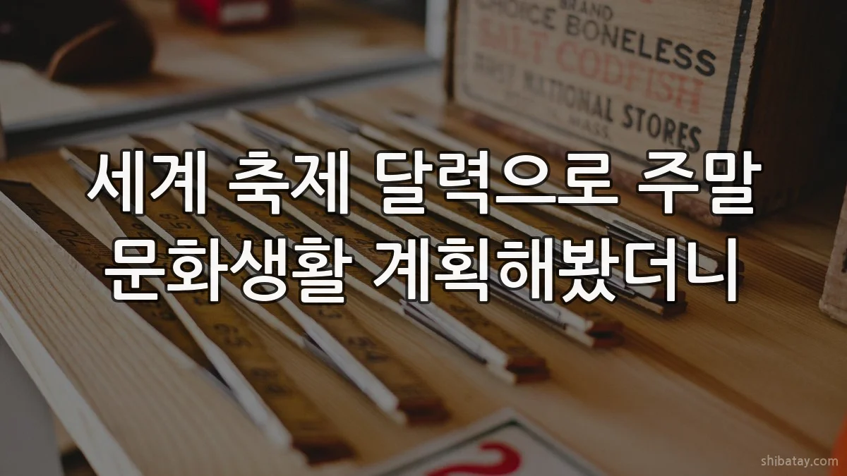 세계 축제 달력으로 주말 문화생활 계획해봤더니