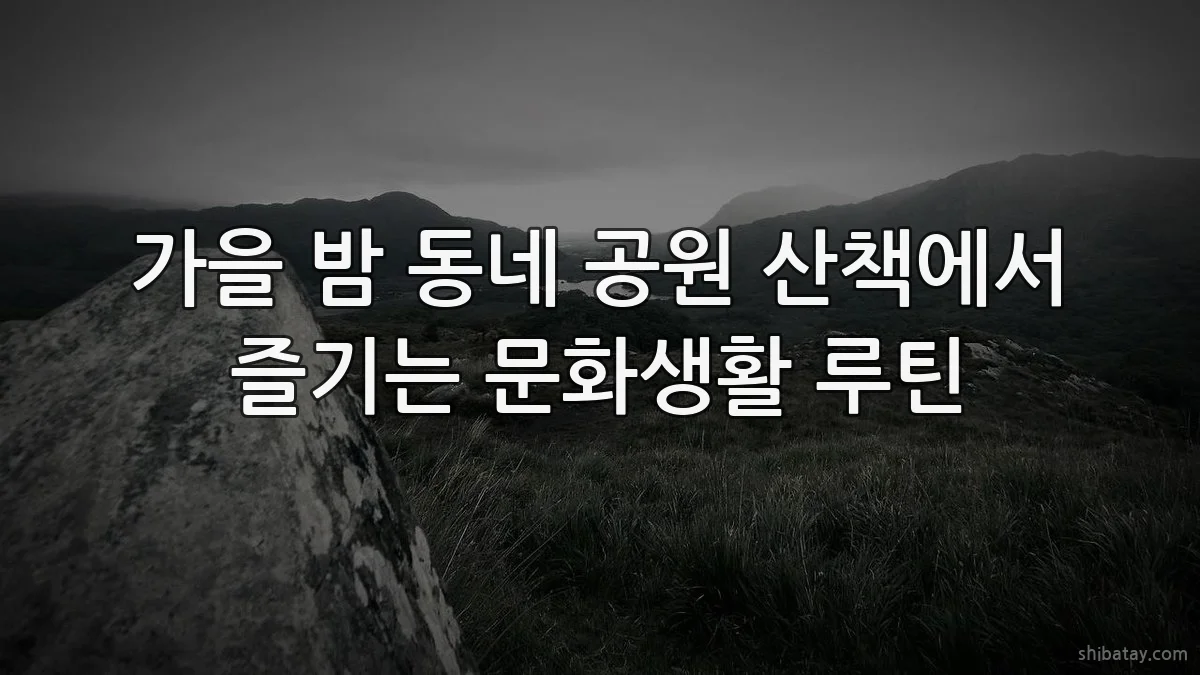 가을 밤 동네 공원 산책에서 즐기는 문화생활 루틴