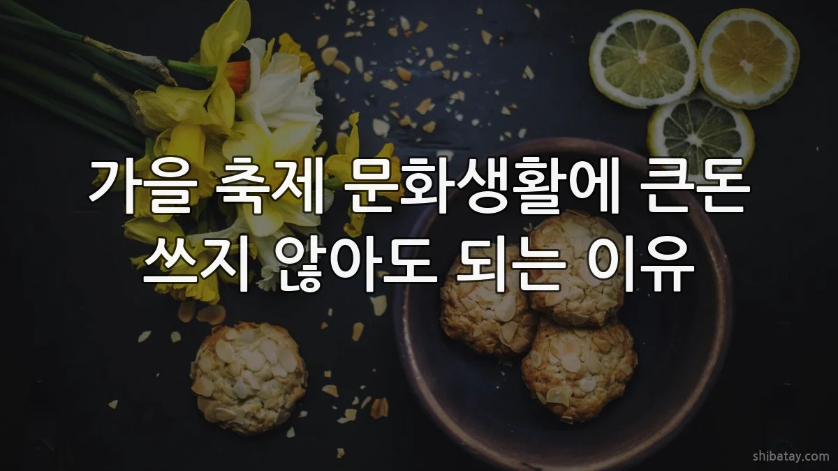 가을 축제 문화생활에 큰돈 쓰지 않아도 되는 이유