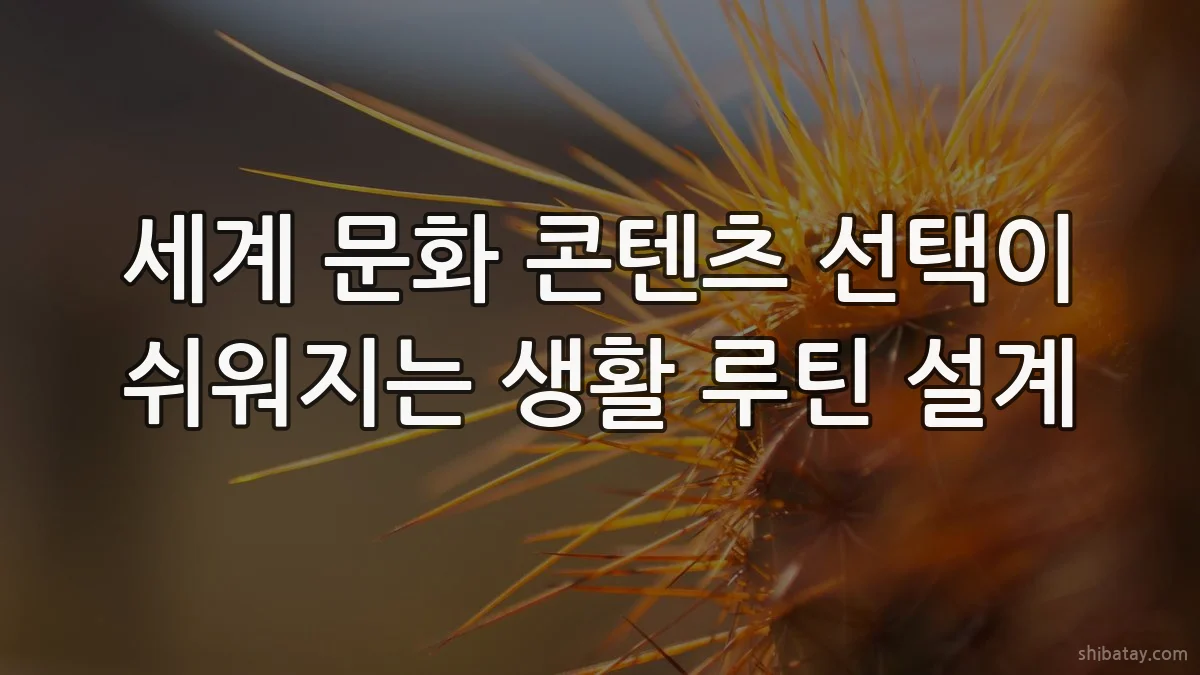 세계 문화 콘텐츠 선택이 쉬워지는 생활 루틴 설계