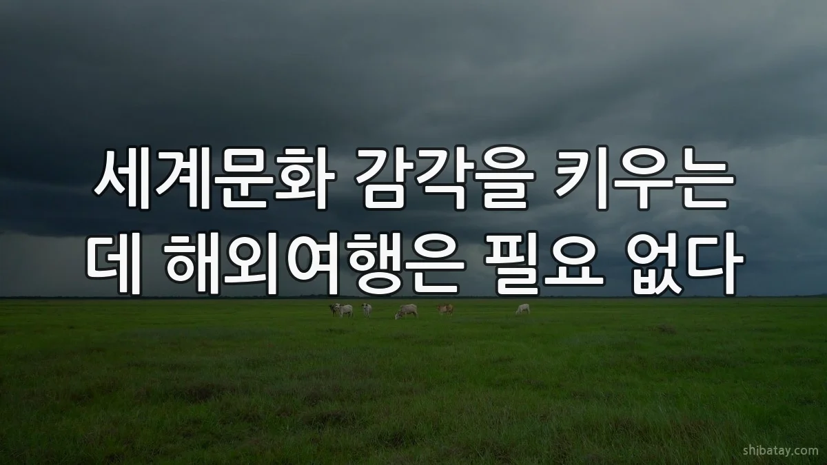 세계문화 감각을 키우는 데 해외여행은 필요 없다