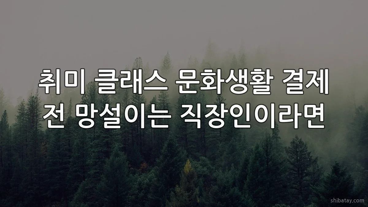 취미 클래스 문화생활 결제 전 망설이는 직장인이라면