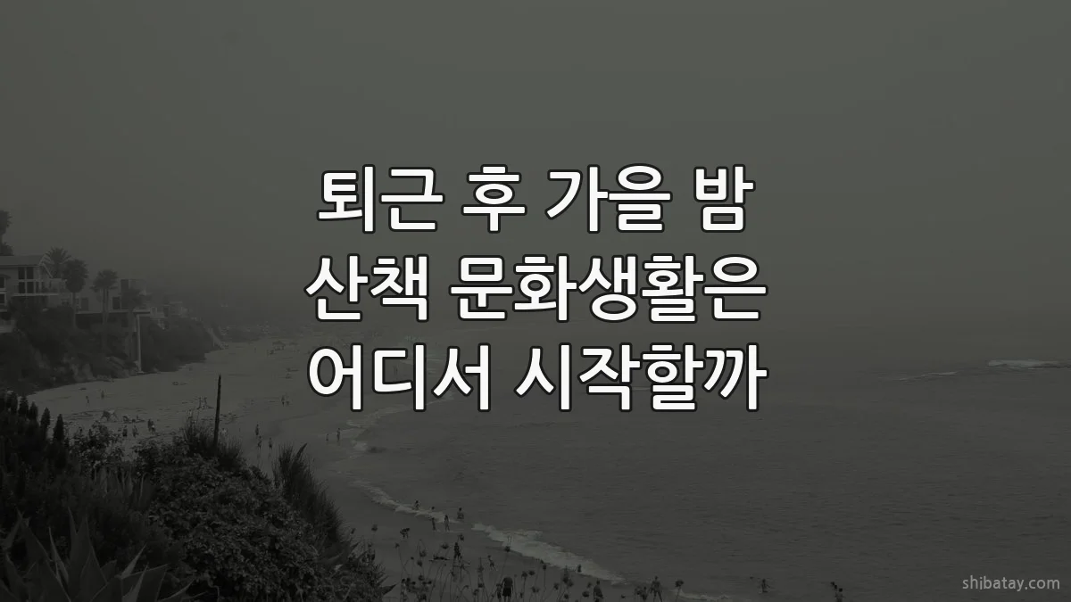 퇴근 후 가을 밤 산책 문화생활은 어디서 시작할까