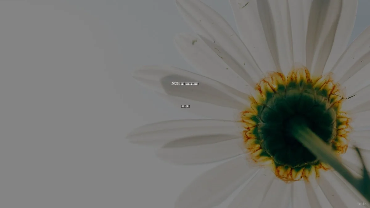 2026년 봄철 산업 자동화를 위한 효율적 전략