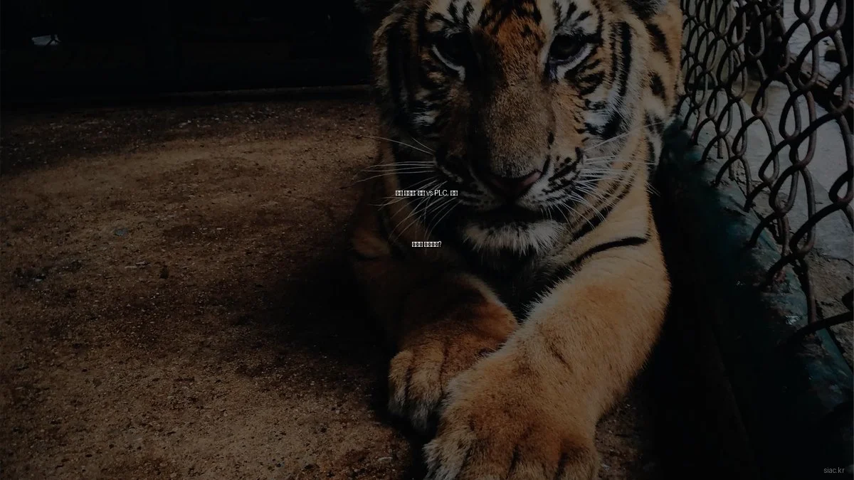 산업 자동화: 로봇 vs PLC, 어떤 선택이 최선인가?
