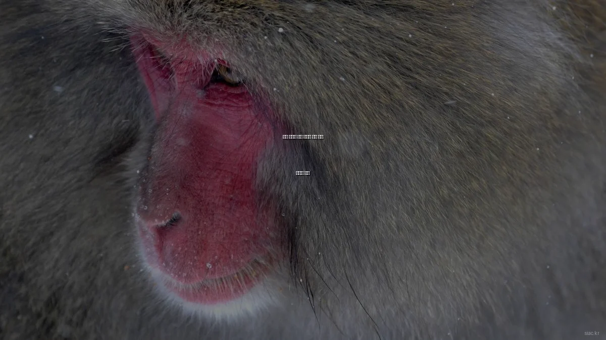 산업 자동화 제어 시스템 실제 사용 후기와 꿀팁