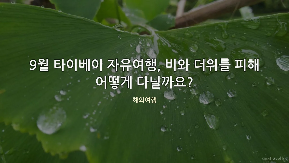 9월 타이베이 자유여행, 비와 더위를 피해 어떻게 다닐까요?