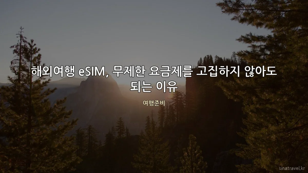 해외여행 eSIM, 무제한 요금제를 고집하지 않아도 되는 이유