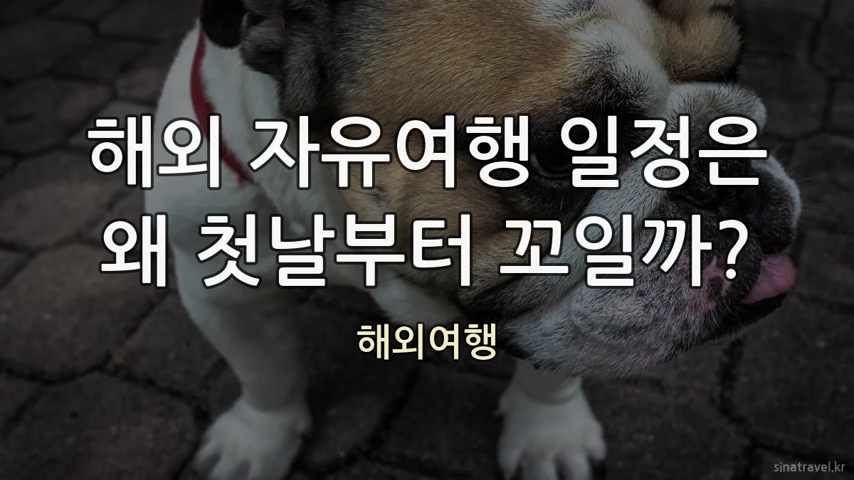 해외 자유여행 일정은 왜 첫날부터 꼬일까?