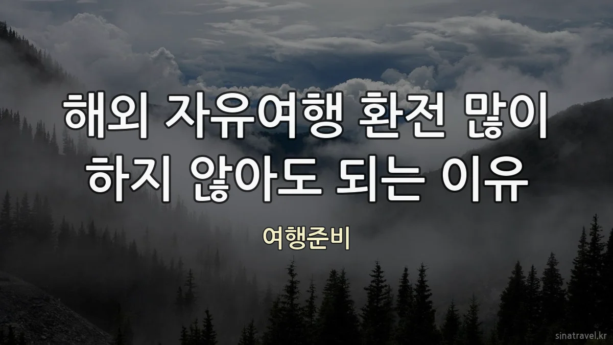 해외 자유여행 환전 많이 하지 않아도 되는 이유