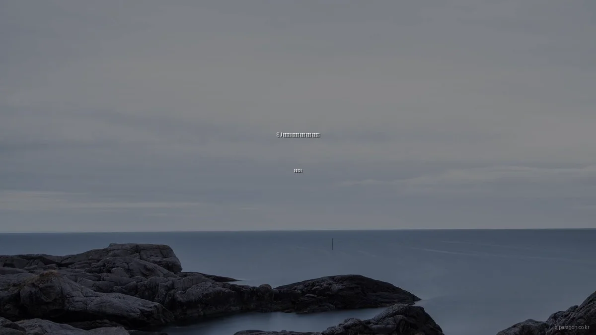 SJ 파라곤 아파트 분양 실수 예방과 해결책