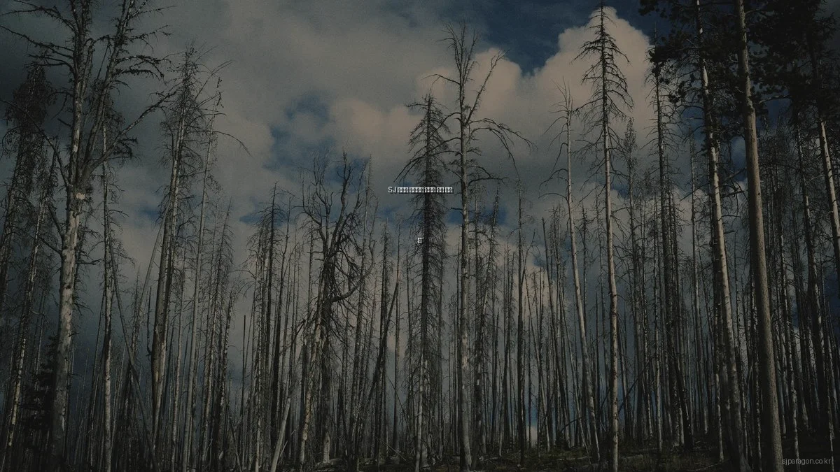 SJ 파라곤 아파트의 숨겨진 생활 해킹 팁