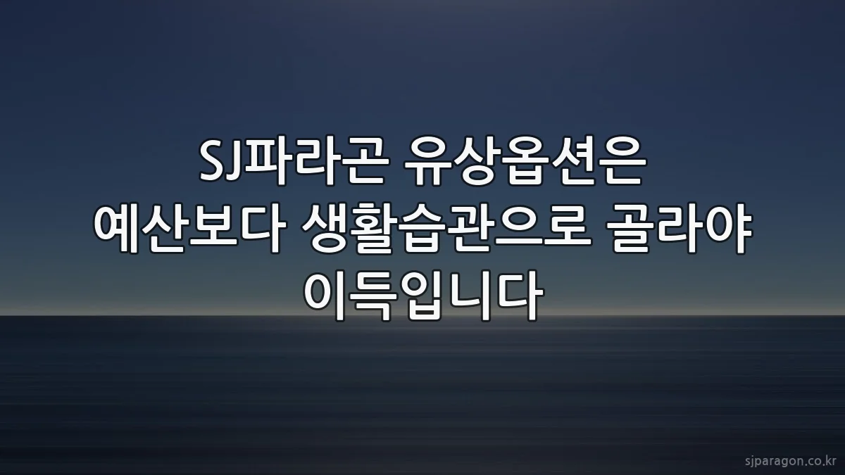 SJ파라곤 유상옵션은 예산보다 생활습관으로 골라야 이득입니다