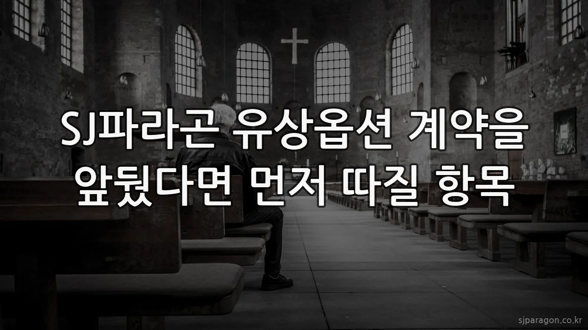 SJ파라곤 유상옵션 계약을 앞뒀다면 먼저 따질 항목