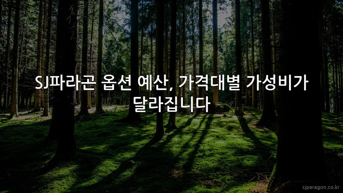 SJ파라곤 옵션 예산, 가격대별 가성비가 달라집니다