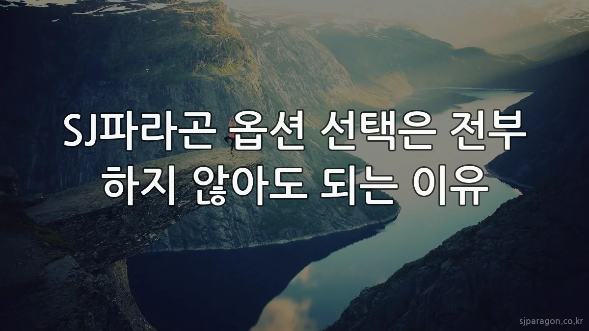 SJ파라곤 옵션 선택은 전부 하지 않아도 되는 이유